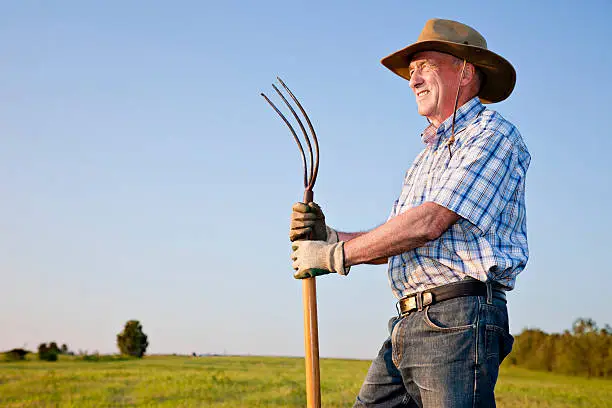 Senior farmer holding pitchfork standing in a field with clear blue sky looking to the left.