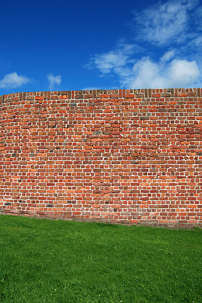 Brick wall of an old building