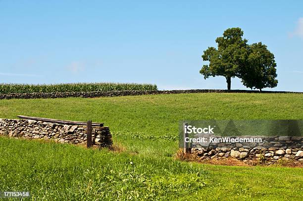 ニューイングランドの田園地帯 - カエデのストックフォトや画像を多数ご用意 - カエデ, カラー画像, コネチカット州