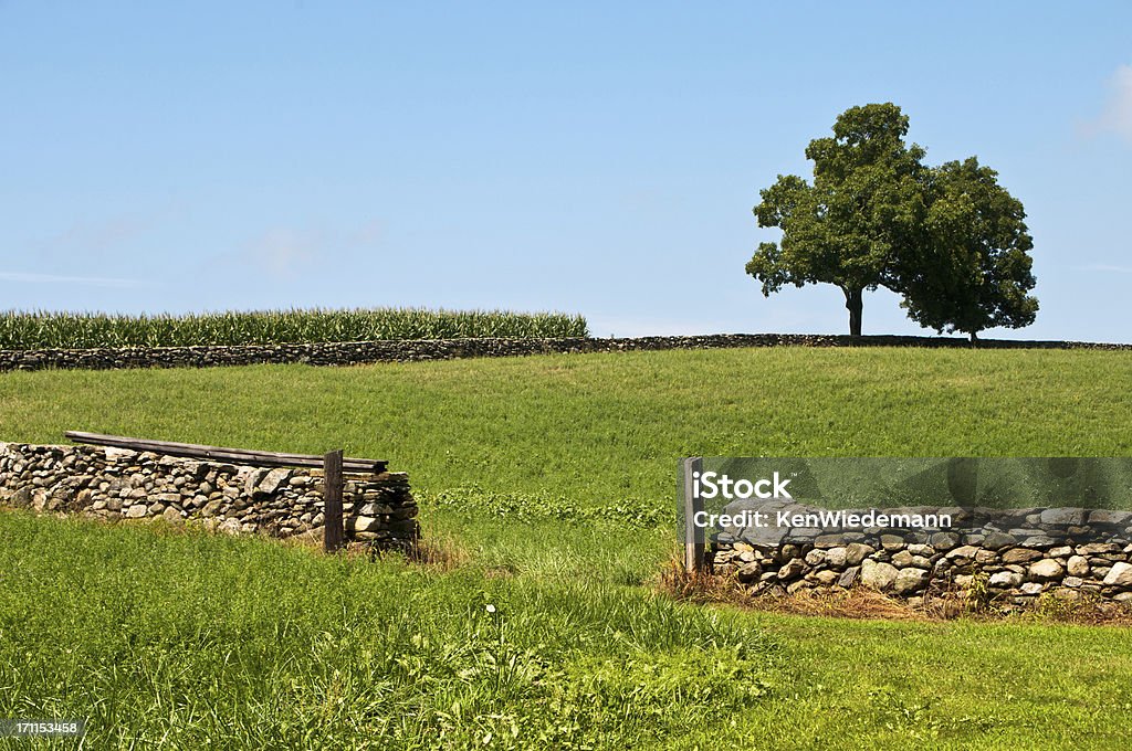 England) 에서는 - 로열티 프리 0명 스톡 사진