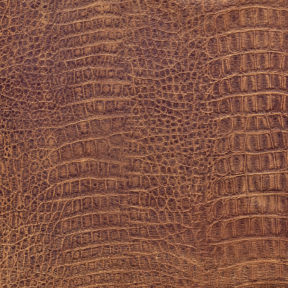 High resolution old crocodile reddish brown skin grunge texture, defined with exceptional detail and richness, very handy for implementation in various 2D and 3D CG Projects. Thank you for checking it out!.