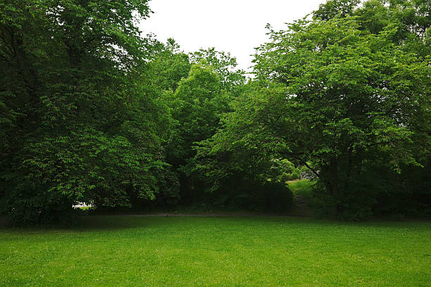 Park in Oslo,Norway.Lightboxes: