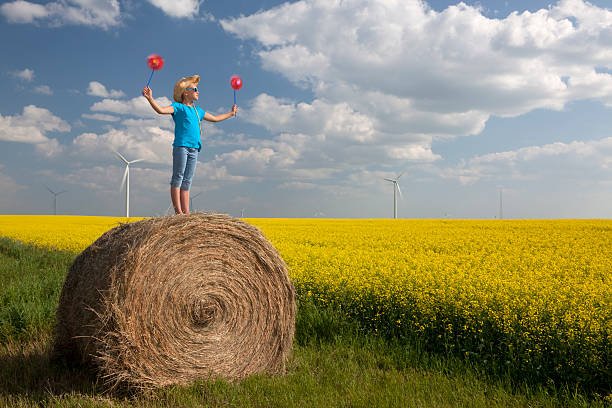 turbina a vento - manitoba prairie landscape canada foto e immagini stock