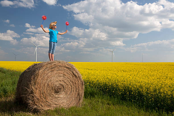 turbina wiatrowa - manitoba prairie landscape canada zdjęcia i obrazy z banku zdjęć