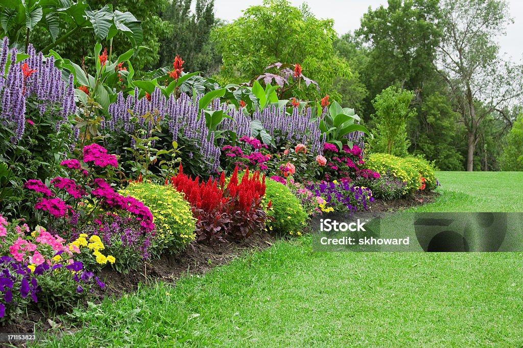 Giardino di fiore colorato - Foto stock royalty-free di Giardino domestico