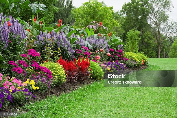 Giardino Di Fiore Colorato - Fotografie stock e altre immagini di Giardino domestico - Giardino domestico, Fiore, Aiuola