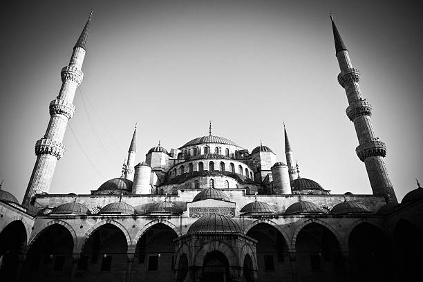 istock Blue Mosque in Istanbul Black and White 171153825