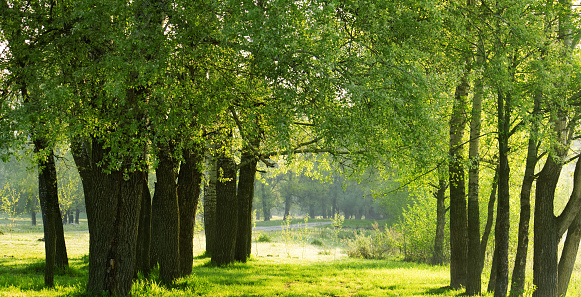 Łyna River in the center of Olsztyn, Warmia, Poland