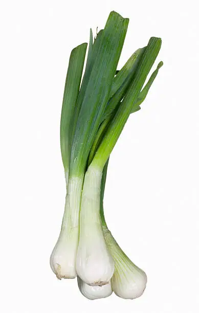 Bunch of leeks isolated on a white background