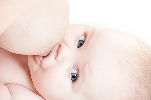 caucasian newborn baby  breastfeeding. On white background