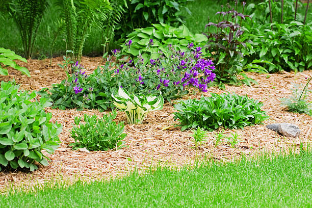 istock Flower Garden with Wood Chip Mulch 171154088