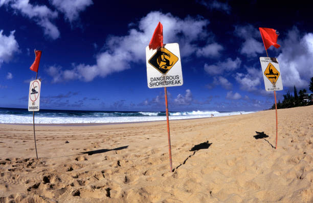 istock USA Hawaii O'ahu, North Shore, 'Ehukai Beach Park. 171154554