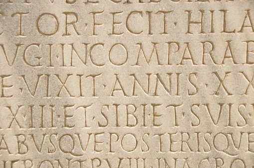 In brown marble, ancient Roman lettering makes this background image.