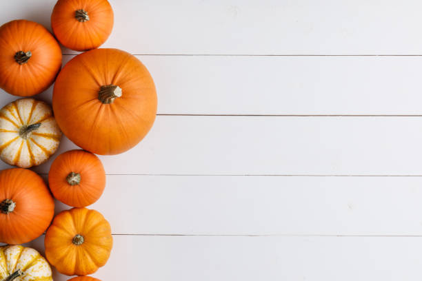 istock Pumpkins on rustic white wood 1711546707