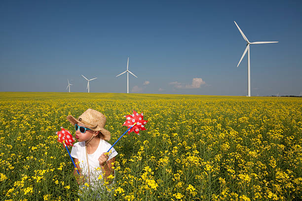 turbina a vento - manitoba canada prairie canola foto e immagini stock