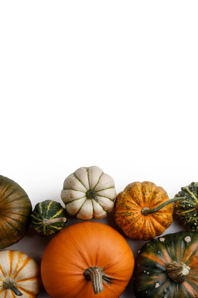 istock Autumn frame of pumpkins on white 1711548351