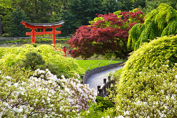 Japanese Garden stock photo