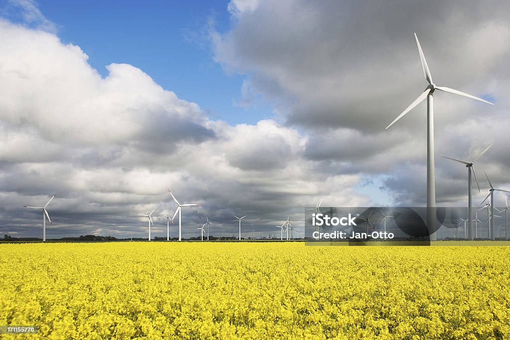 Windmühlen und canola - Lizenzfrei Energieindustrie Stock-Foto
