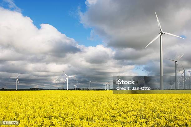 Windmühlen Und Canola Stockfoto und mehr Bilder von Energieindustrie - Energieindustrie, Viele Gegenstände, Deutschland