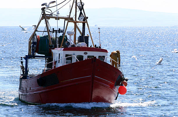 istock fishing boat returning to shore with catch 171155880