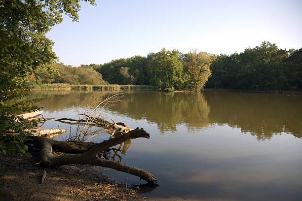 istock Idyllic lake in autumn 171156009