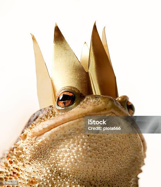 Kiss The Prince Toad Stock Photo - Download Image Now - Toad, Crown - Headwear, King - Royal Person