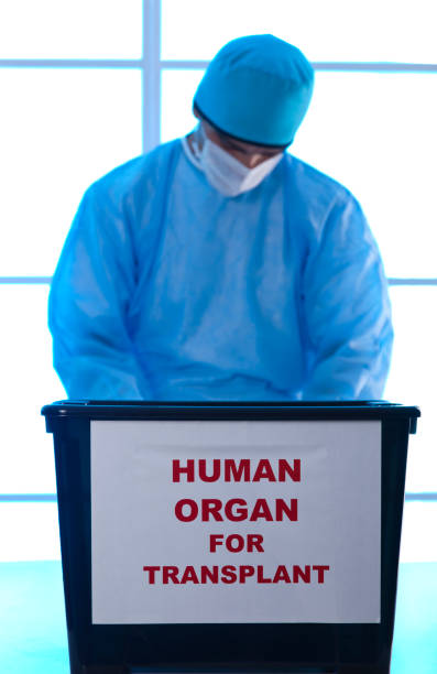 istock human organ for transplant 171156179
