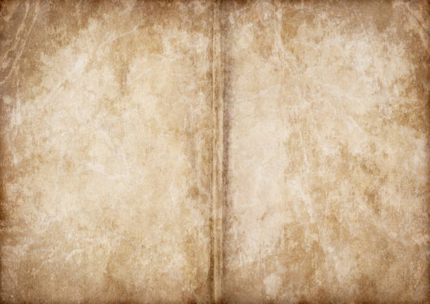 This Large, High Resolution Scan of Old Book Light Brown Blank Pages, Crumpled, Stained, Mottled Vignette Grunge Texture, is defined with exceptional details and richness, and represents the excellent choice for implementation within various CG Projects. 