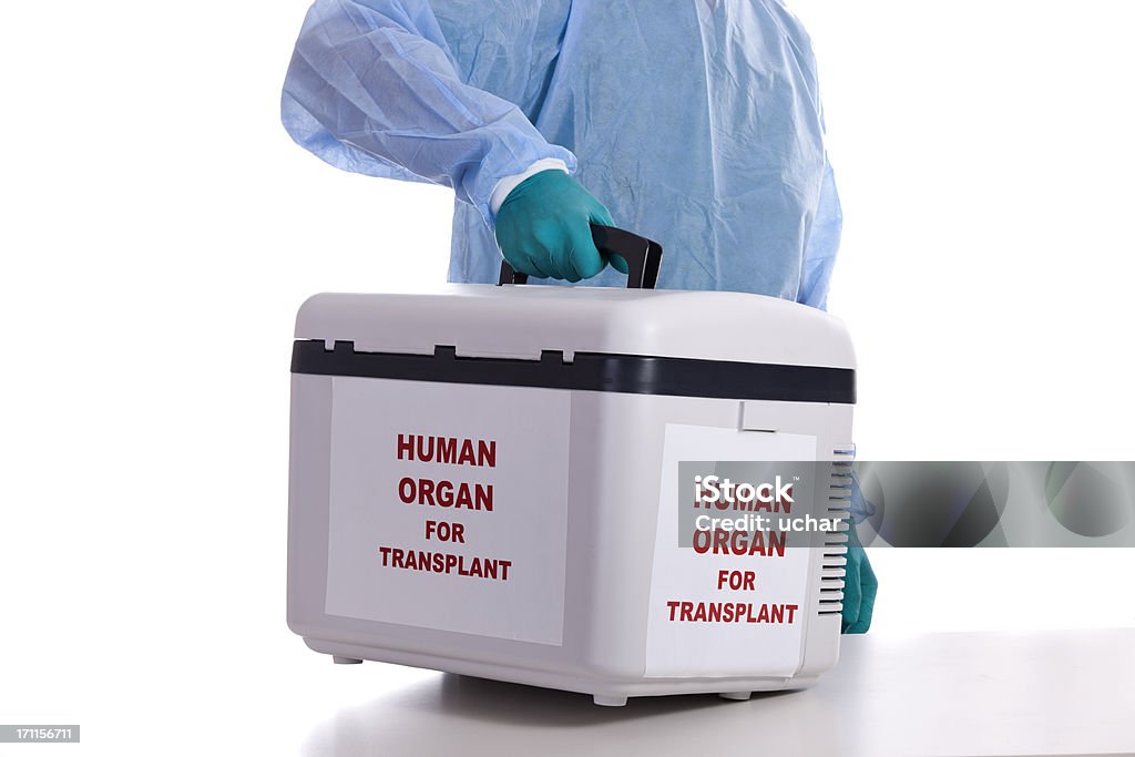 Human Organ Transplantation Organ Donation Stock Photo