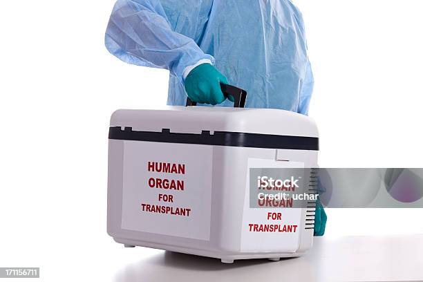 Human Organ Transplantation Stock Photo - Download Image Now - Organ Donation, Transplant Surgery, Transportation