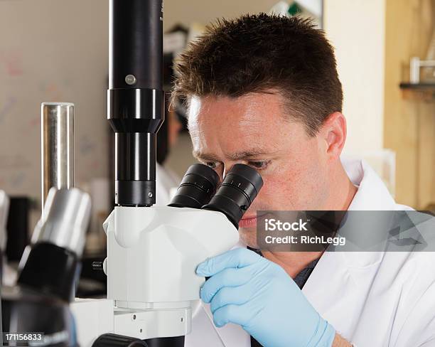 Foto de Trabalhador Em Um Laboratório e mais fotos de stock de 30 Anos - 30 Anos, Adulto, Adulto de idade mediana