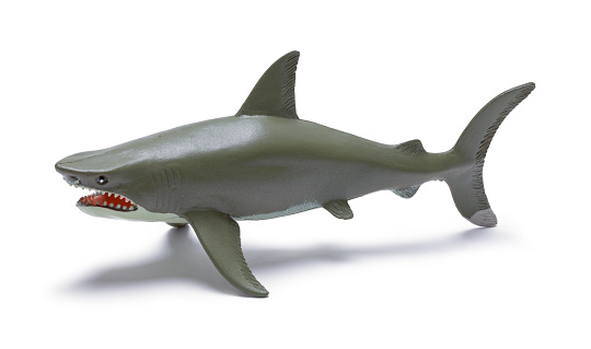 Plastic Shark Toy Cut Out on White.