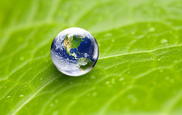 US focus world globe in water drop on green leaf stock photo