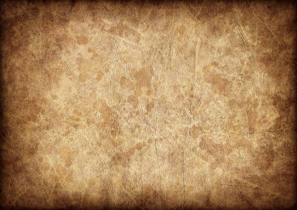 istock High Resolution Antique Animal Skin Parchment Vignette Grunge Texture 171158626