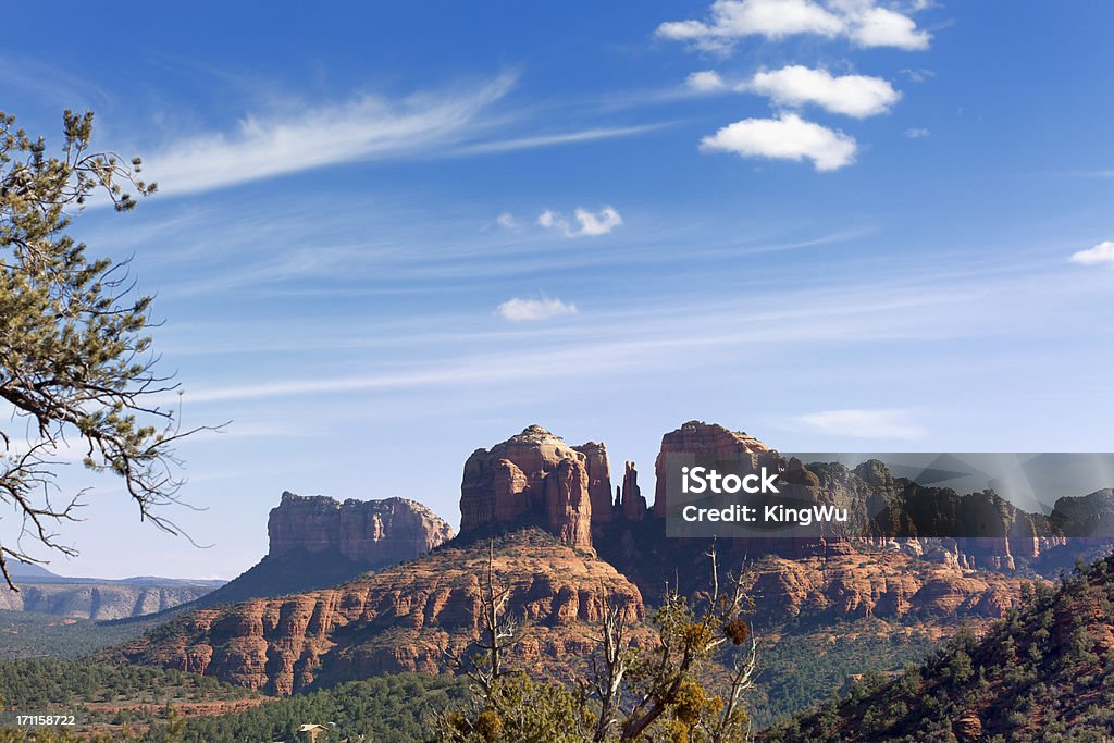 Cattedrale Rock - Foto stock royalty-free di Albero