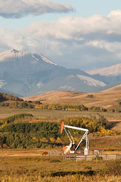istock Pumpkin Jack in the Alberta, Canada Countryside  171158789