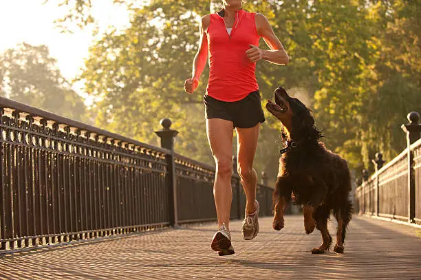 Photo of woman running in park with dog