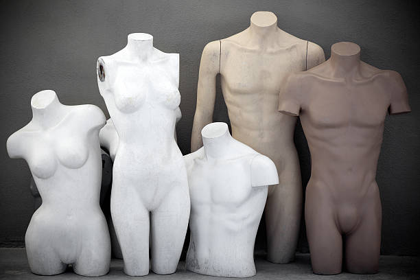 mannequins корпус - the human body body women naked стоковые фото и изображения