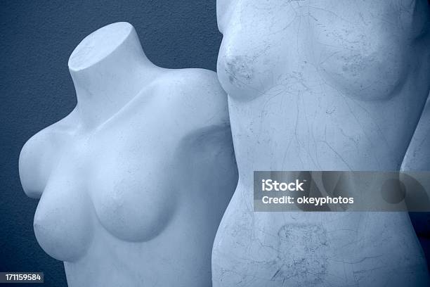 女性の胸部のマネキンます - 女性のストックフォトや画像を多数ご用意 - 女性, 裸, シンプル
