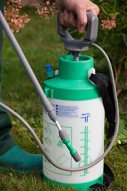 istock man's hand with a sprayer to fertilize 171159793