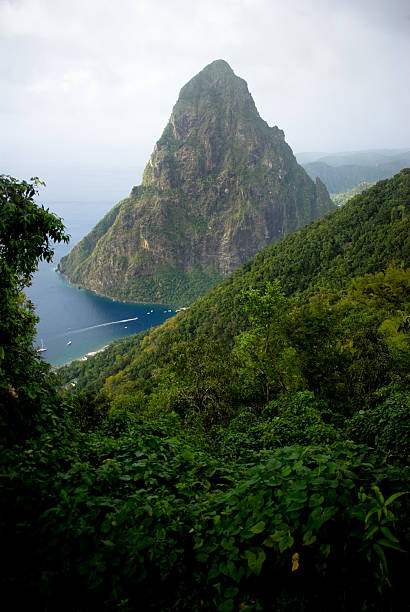 頑丈なピークのプチピトンセントルシア - st lucia antilles eco tourism tourism ストックフォトと画像