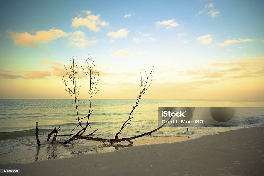 Alba sulla spiaggia - Foto stock royalty-free di Acqua