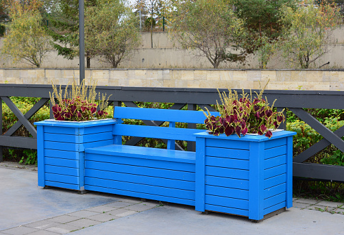empty blue bench with flowerbeds isolated close up