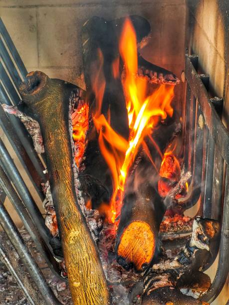 istock wood burning in a uruguayan barbecue 1711624348