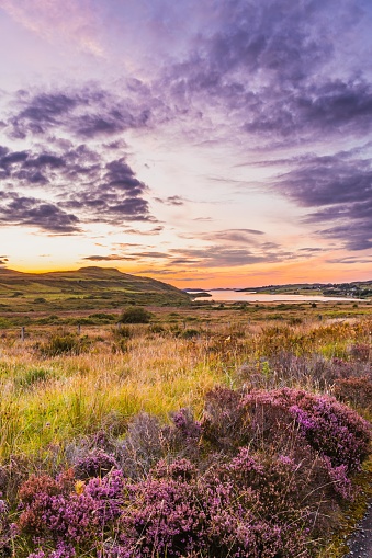 Summer Landscape in Scotland, UK