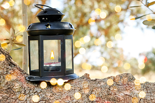 lantern on tree trunk with bokeh light background for the Muslim feast of the holy month of Ramadan Kareem or christmas