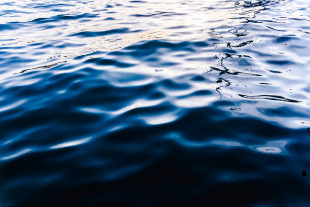istock Natural seawater background with its intense bluish liquid texture at sunset. 1711689341