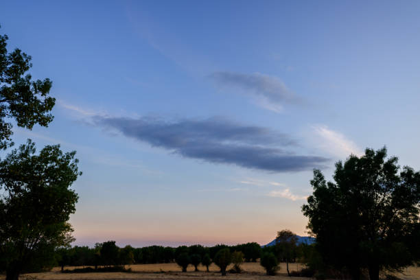 istock Sunset in a lonely meadow with trees. 1711704848