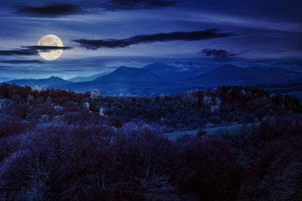 autumn landscape at night. forest in the mountains covered with red and yellow foliage under heavy clouds. beautiful scary scenery in full moon light