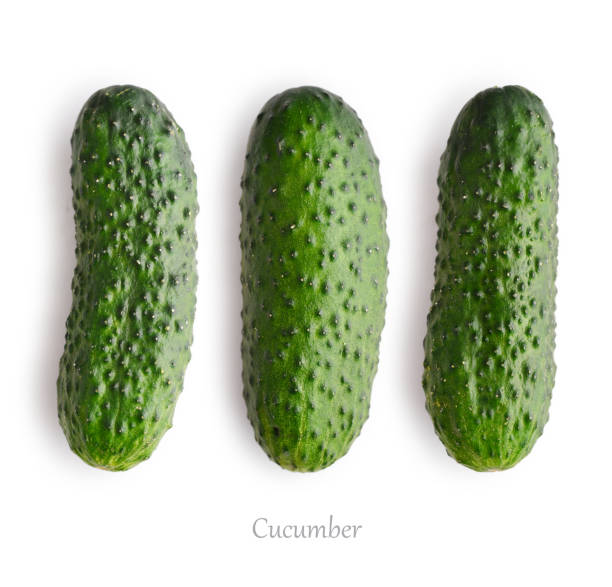 istock Set of fresh cucumber 1711736915
